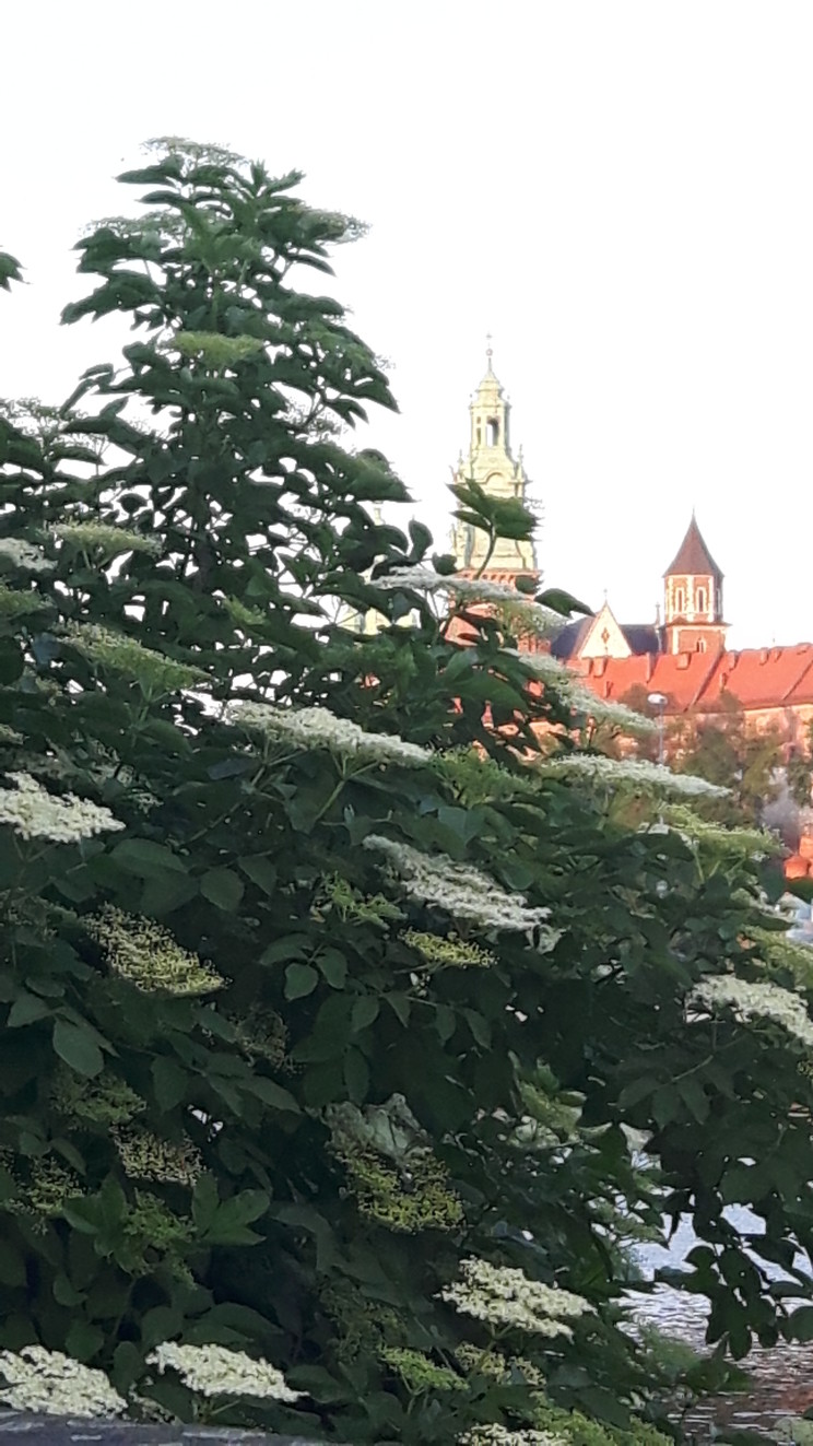 20160523_194943