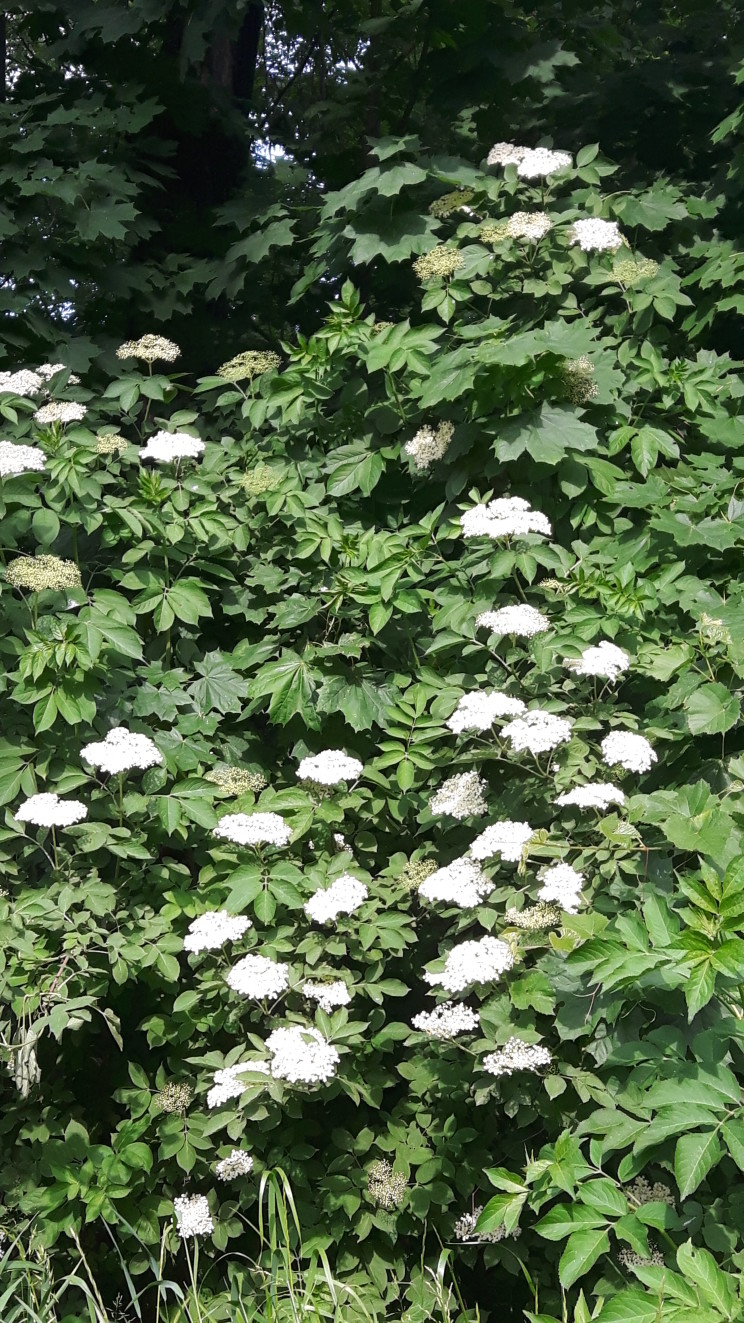20160527_154906