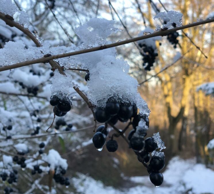 DWA OSIEMNAŚCIE…