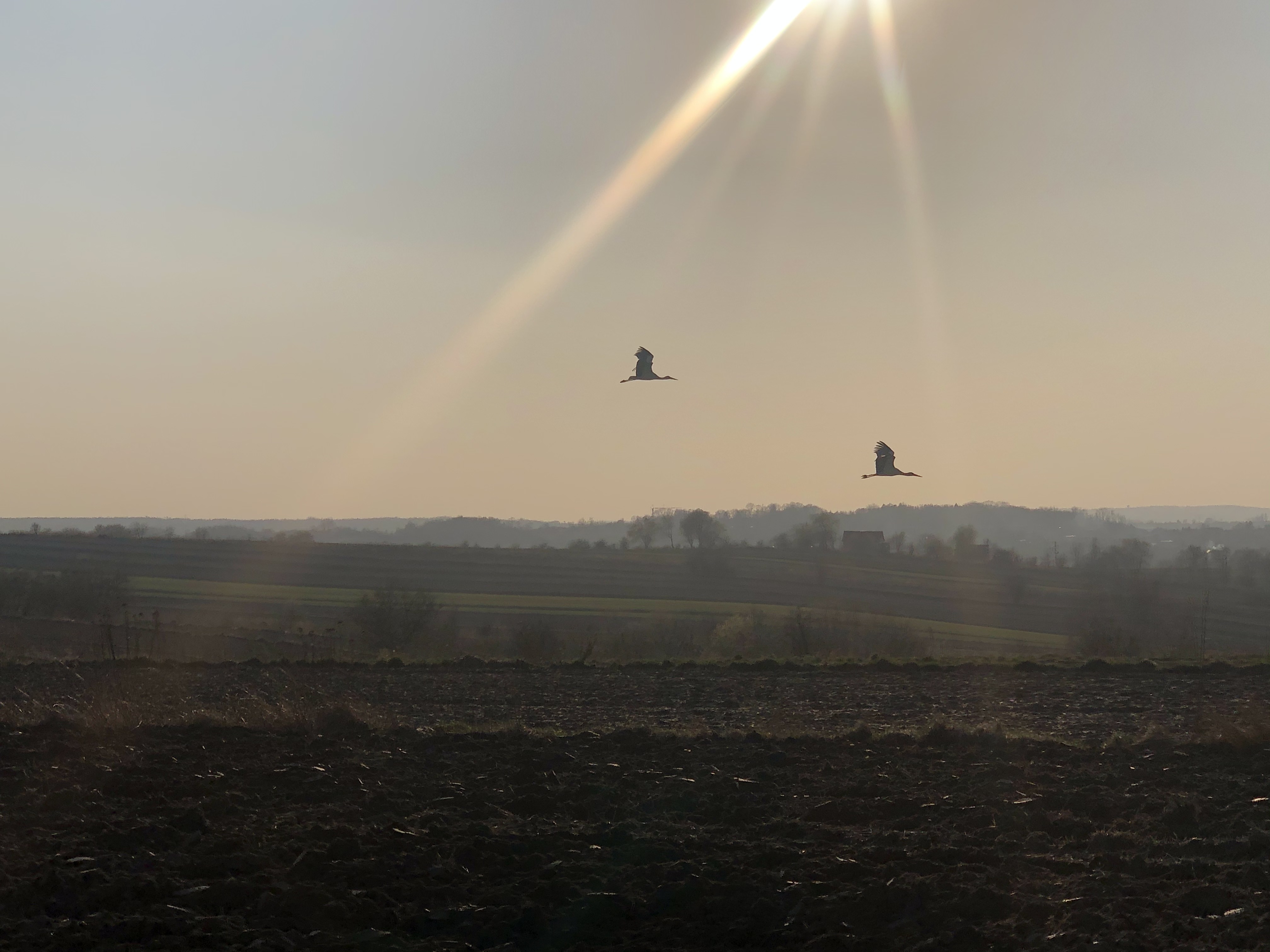 RESET DLA ŚWIATA